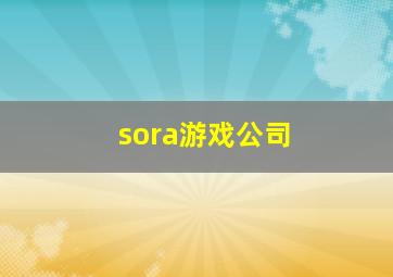 sora游戏公司